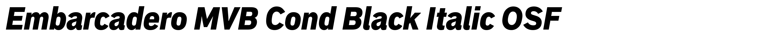Embarcadero MVB Cond Black Italic OSF